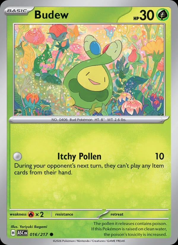 Budew 016/217 Ascended Heroes Pokémon card