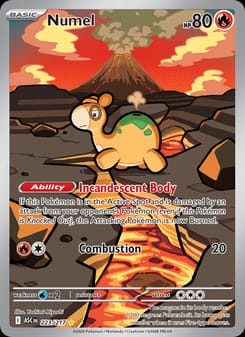 Numel 223/217 Illustration Rare – Ascended Heroes Pokémon card
