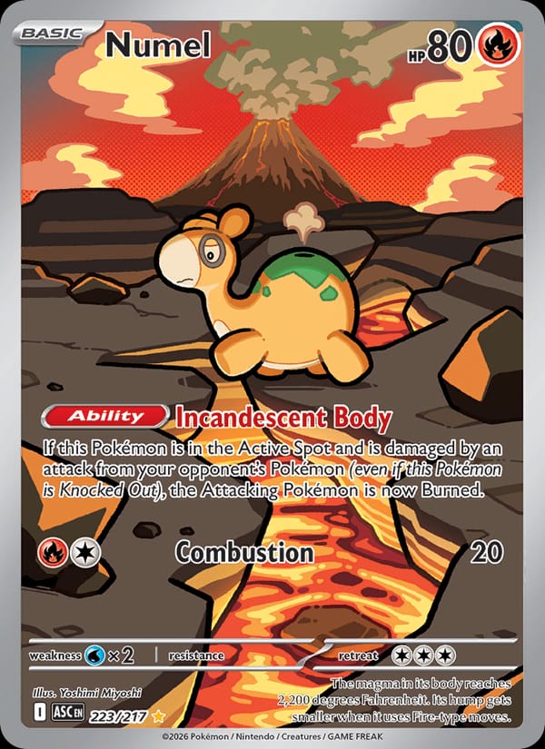 Numel 223/217 Ascended Heroes Pokémon card