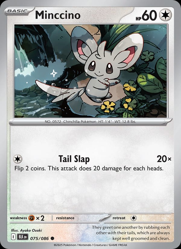 Minccino 075/086 Black Bolt Pokémon card