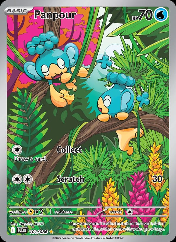 Panpour 101/086 Black Bolt Pokémon card