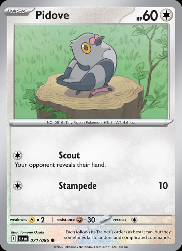 Pidove 071/086 Black Bolt Pokémon card