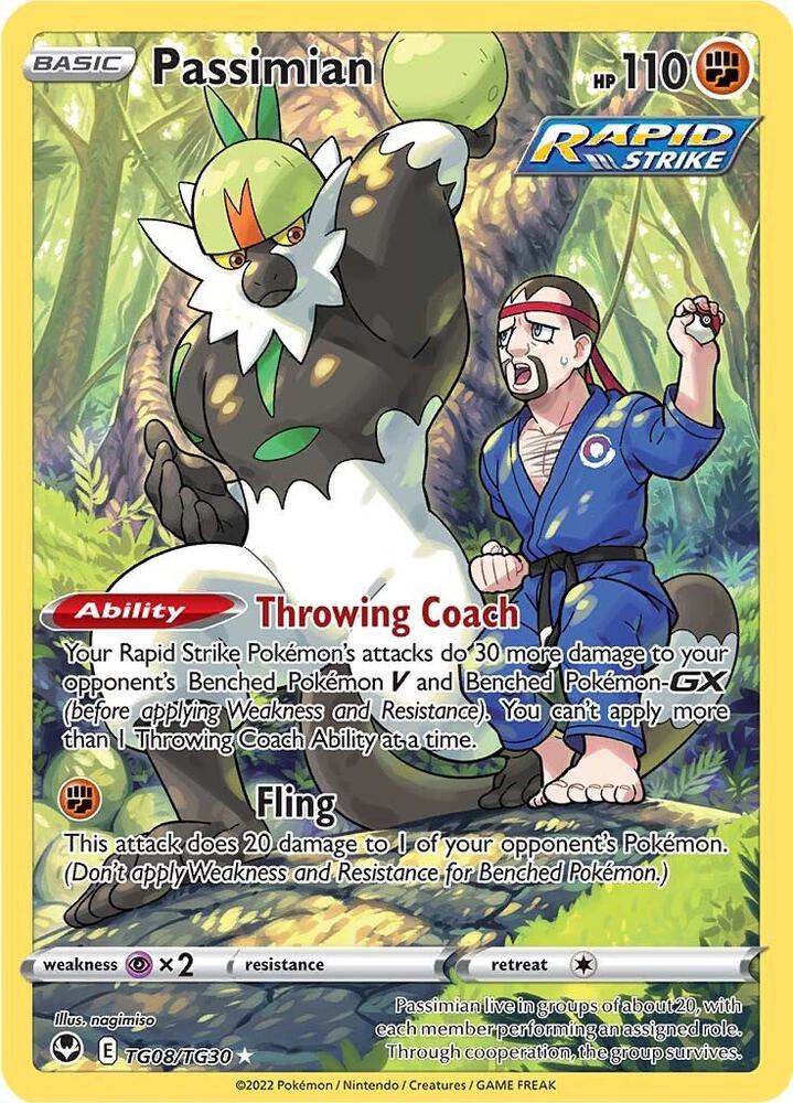 Passimian TG08/TG30 Silver Tempest Pokémon card