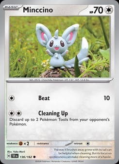 Minccino 136/162 Common – Temporal Forces Pokémon card