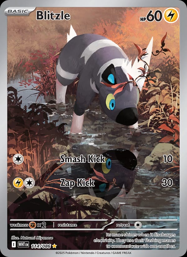 Blitzle 114/086 White Flare Pokémon card